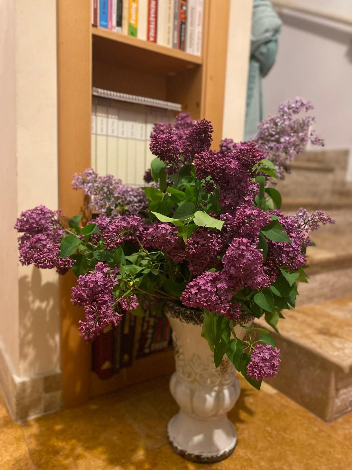 Villa Ronda 에포리수드 외부 사진